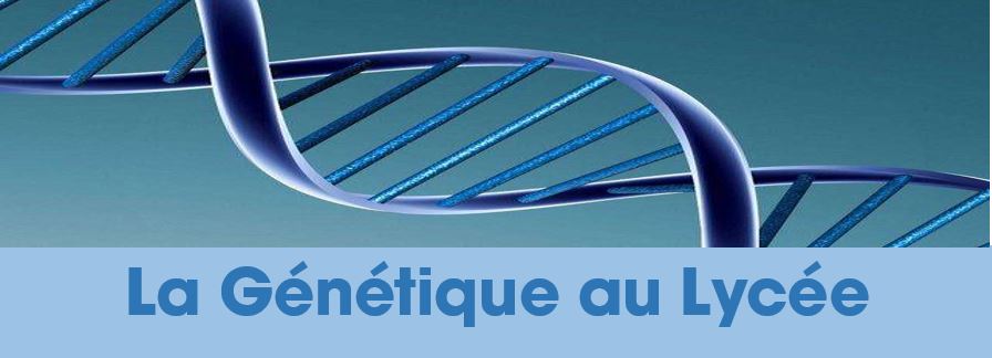 La Génétique au Lycée